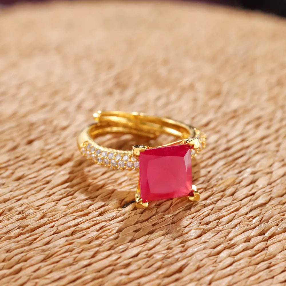 AD Ring SWR058