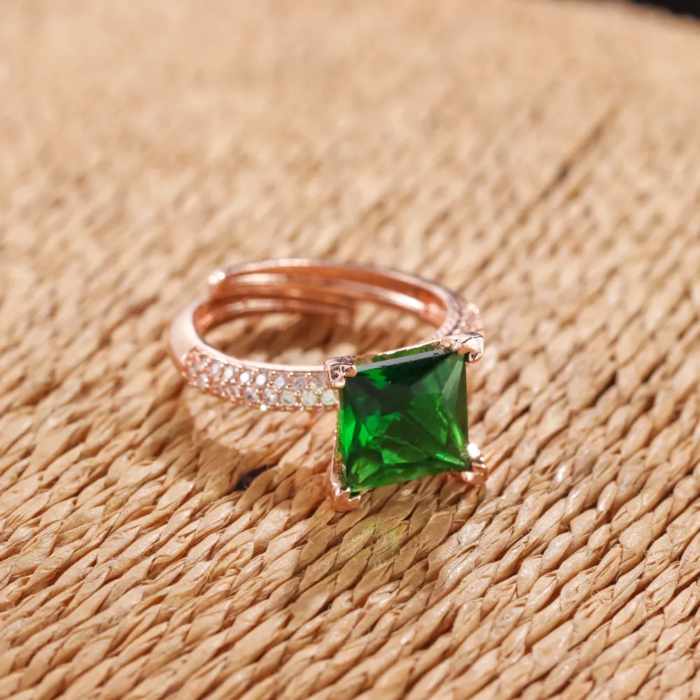 AD Ring SWR058