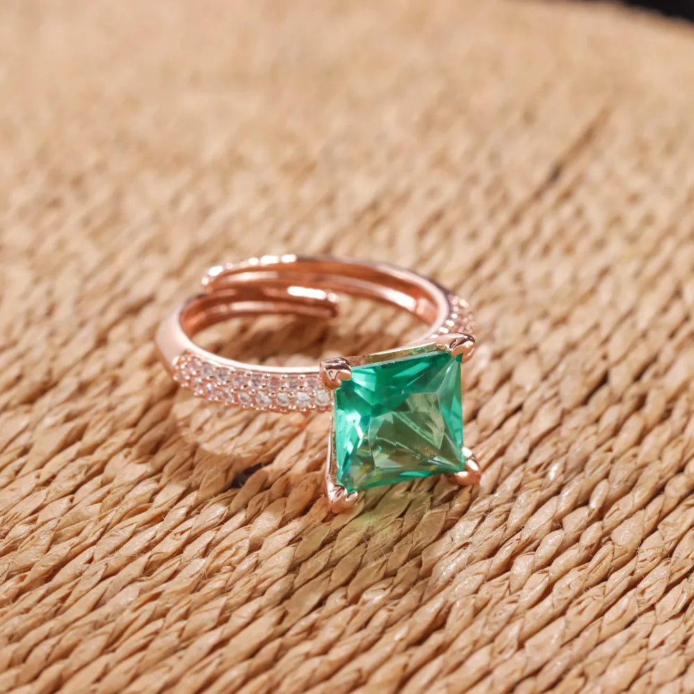 AD Ring SWR058